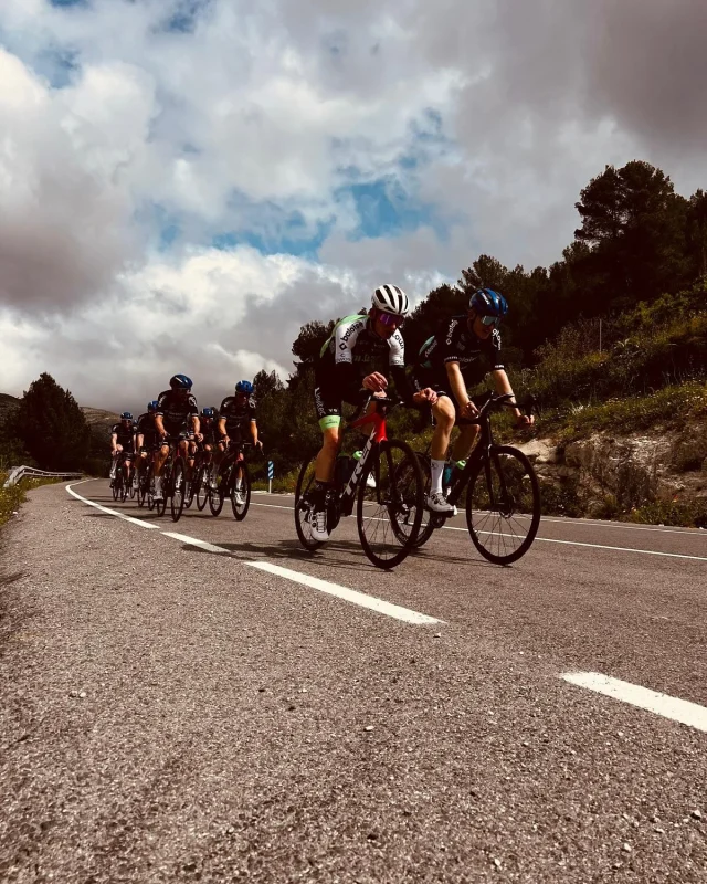 🦁Road season loading… 💥